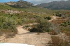 Corse 2008 068 (Small).jpg